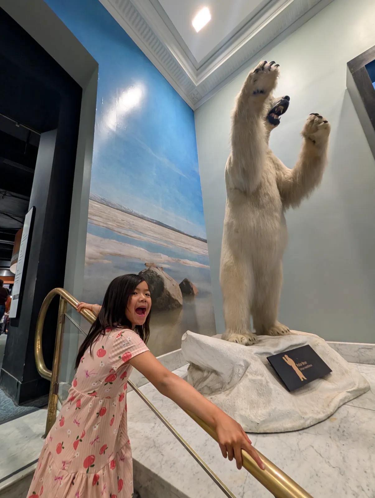 A child joyfully poses in front of a life-sized polar bear display at the Academy of Natural Sciences during Dino After Dark