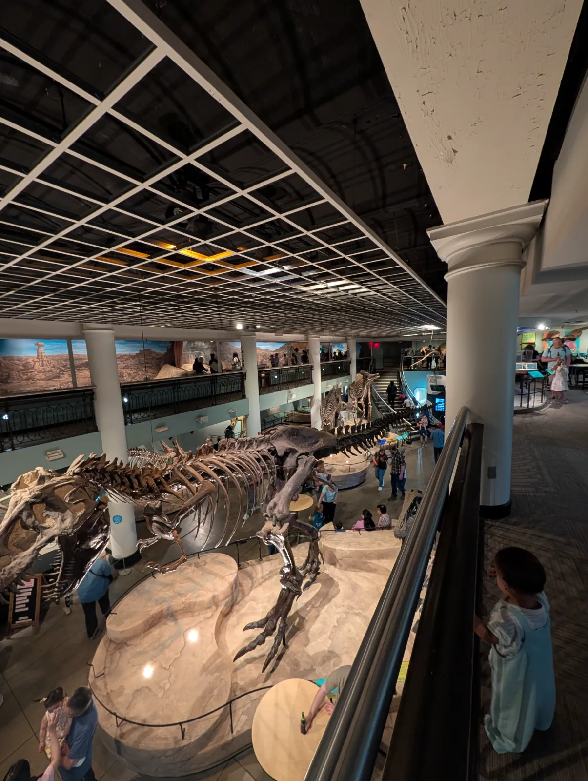 T-Rex skeleton on display at the Academy of Natural Sciences with visitors exploring