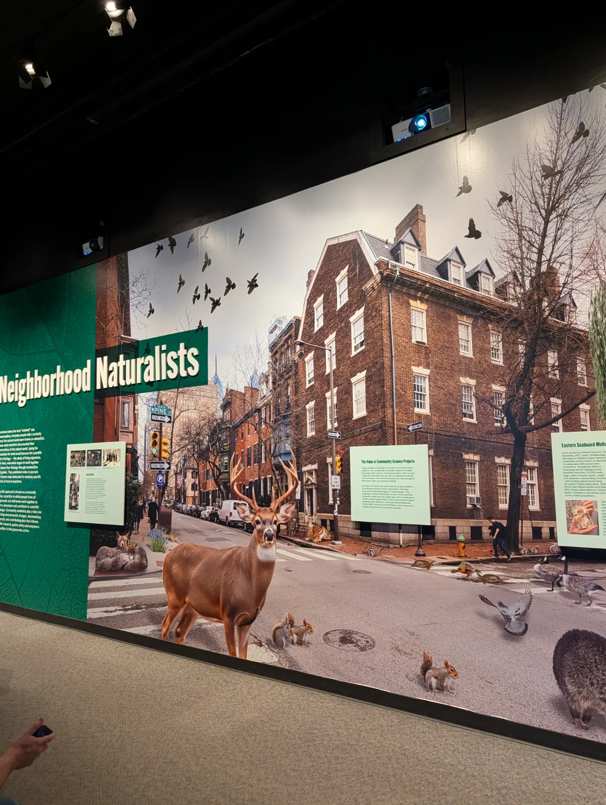 Urban wildlife mural exhibit featuring deer and birds against a Philadelphia backdrop