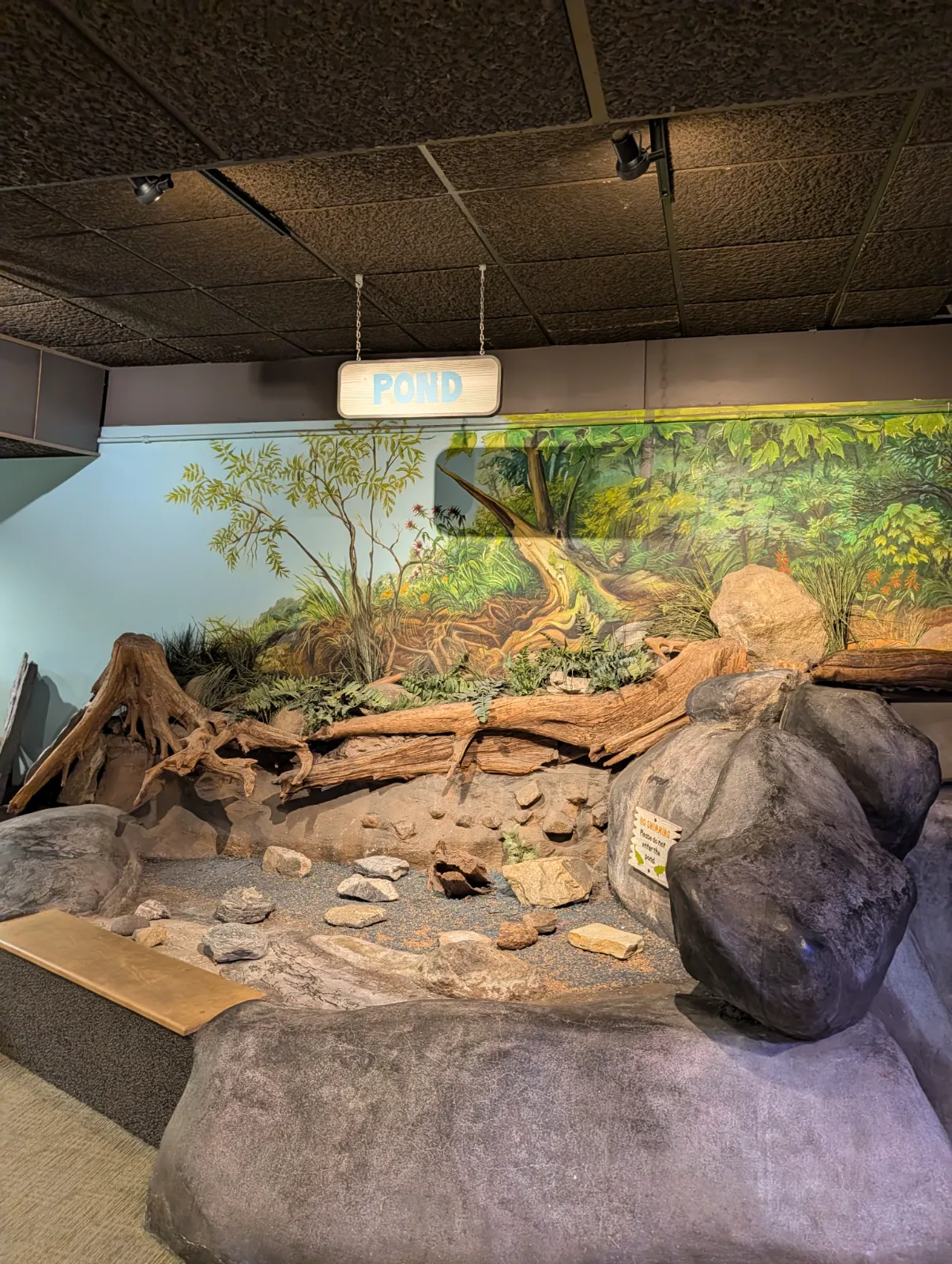 Indoor pond exhibit with rock formations and greenery