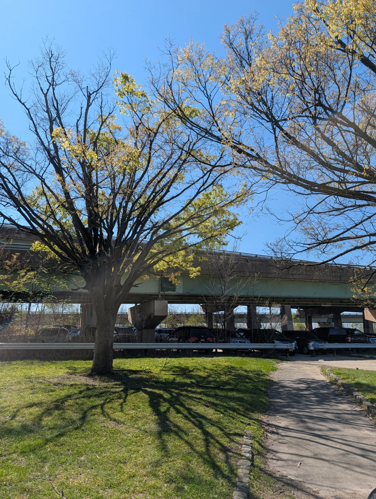 The underpass parking area near FDR Park