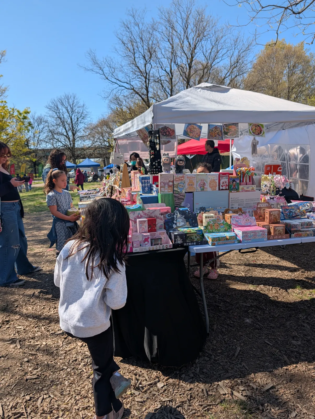 Charlotte shopping vinyl toys and figurines at the market