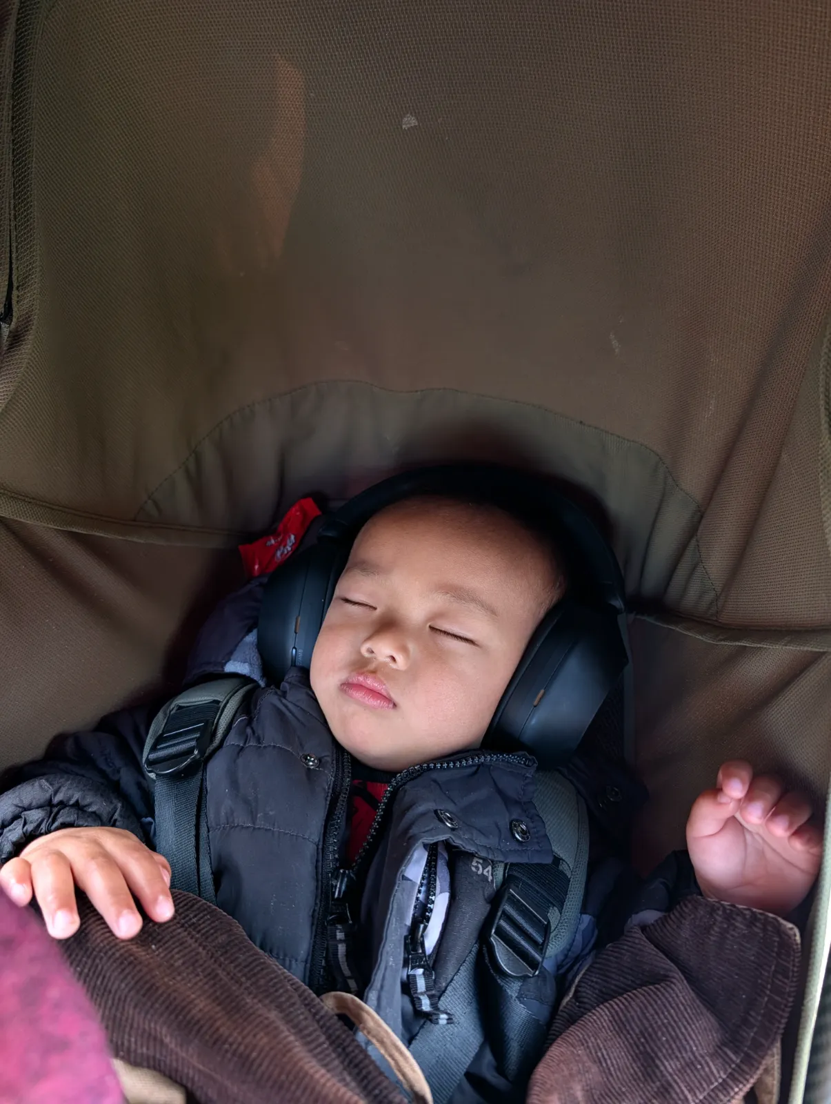 Parker napping peacefully in his stroller wearing headphones at Flavors on the Avenue