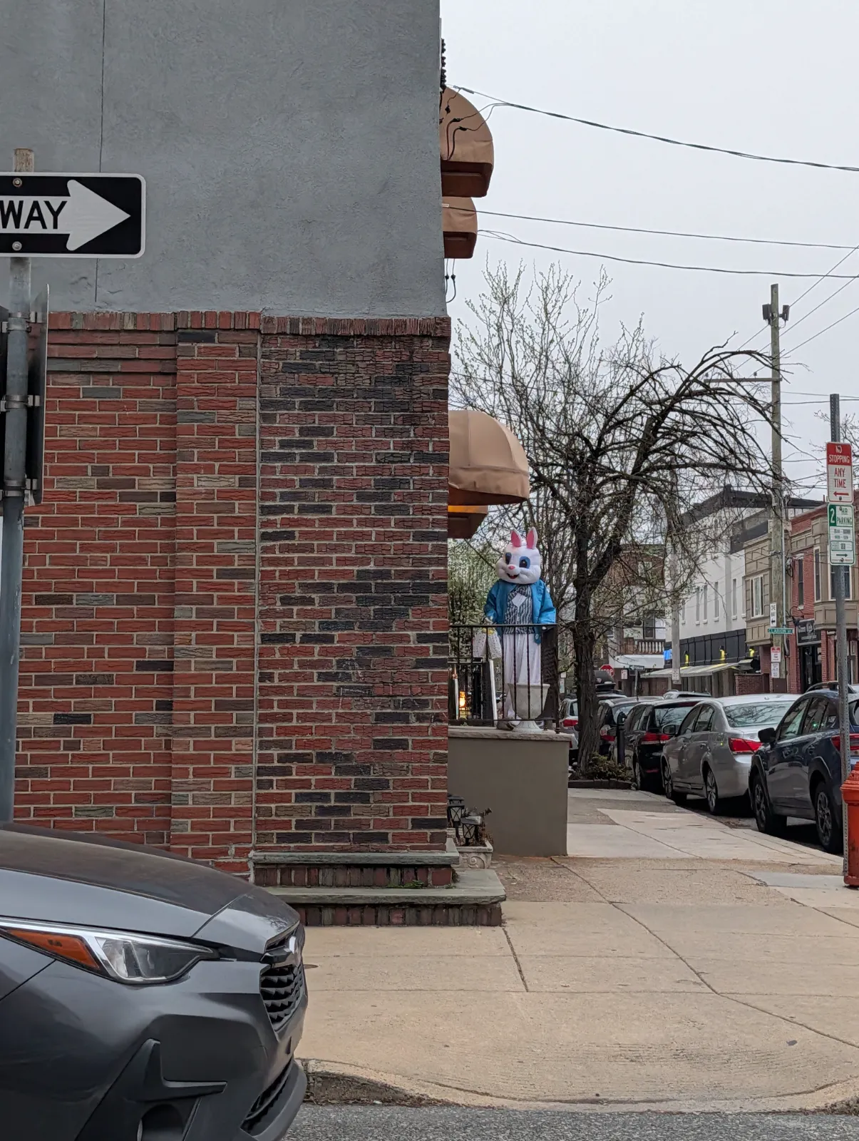 Large bunny figure on a ledge in a Philadelphia neighborhood