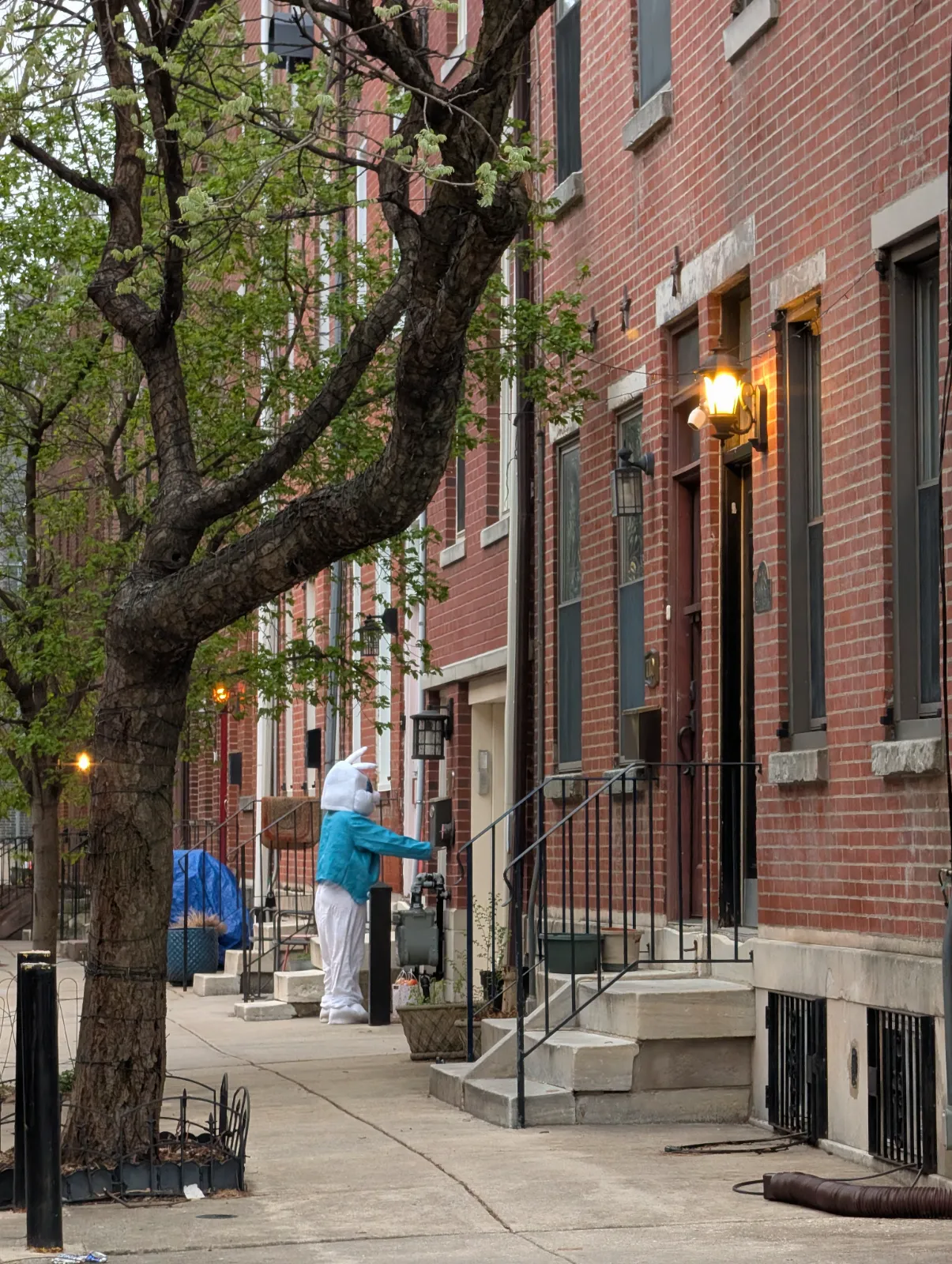 Person in Easter bunny costume walking up to a house on a Philadelphia street