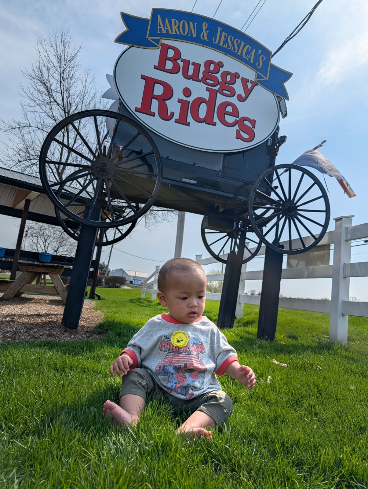 Parker sitting in the grass in front of the Aaron and Jessica's Buggy Rides sign