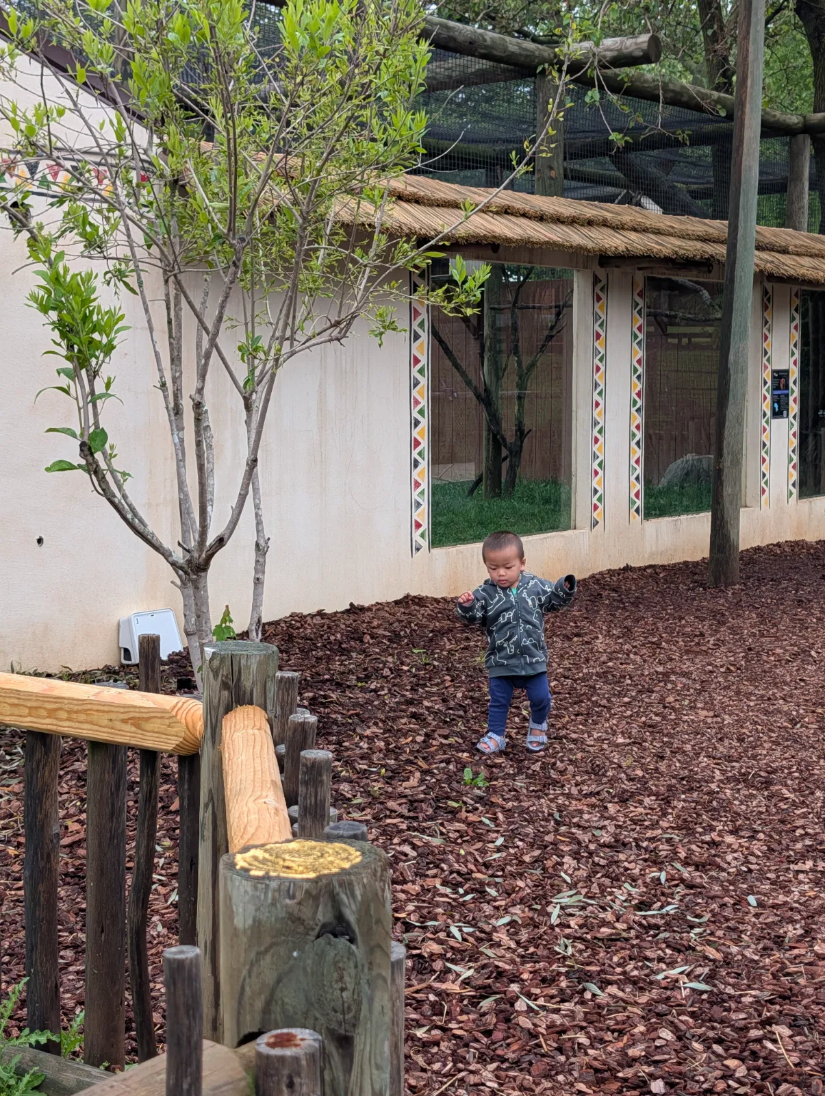 Parker exploring a rustic outdoor area at Nova Wild surrounded by greenery