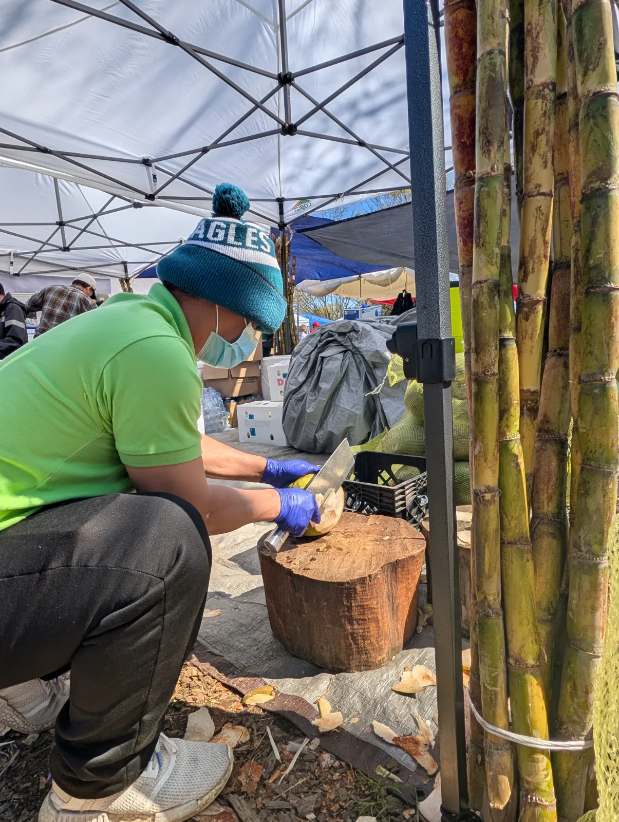 Abby's uncle cutting open a fresh coconut