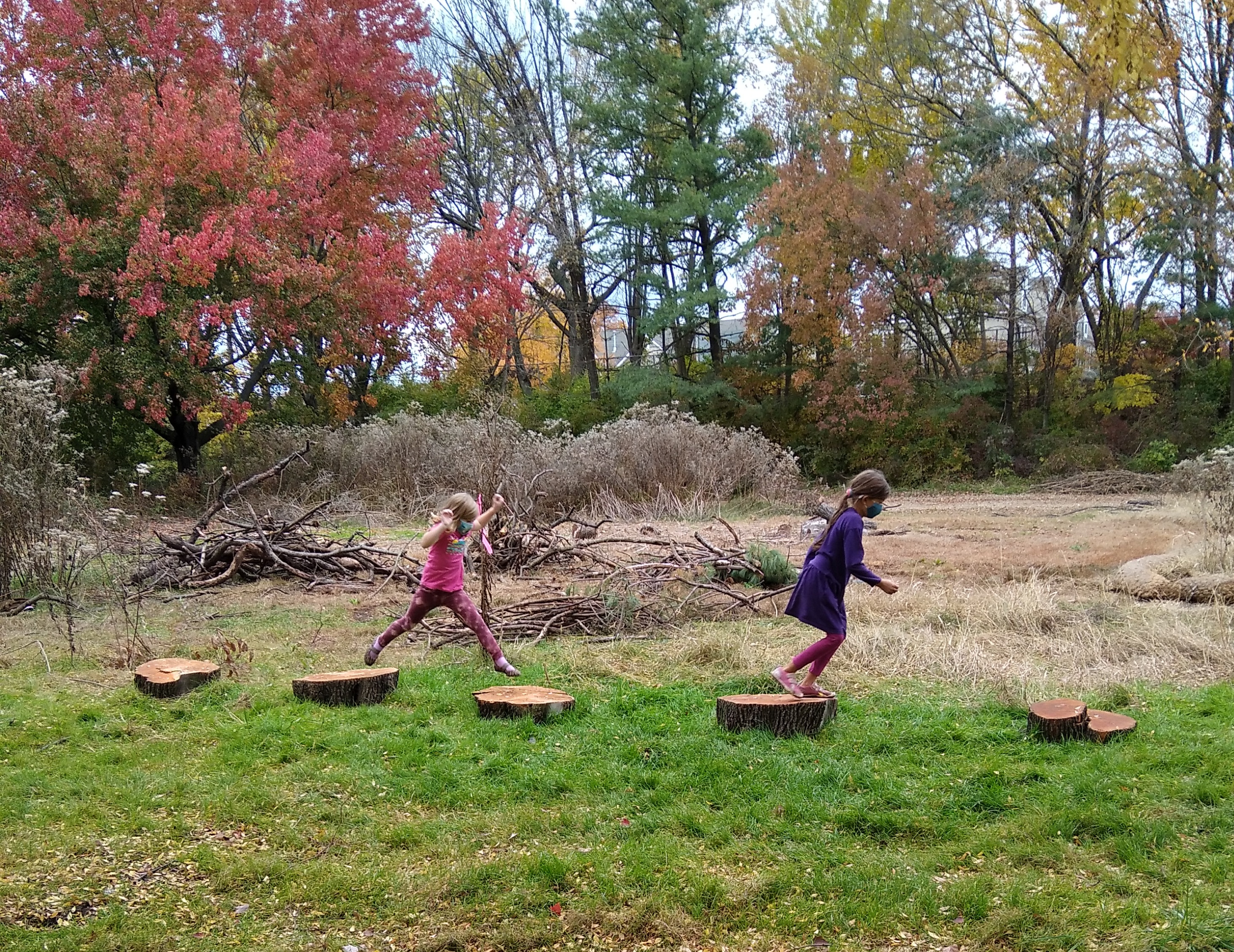 Junior Naturalists